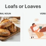 loafs or loaves
