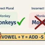 monkeys-or-monkies